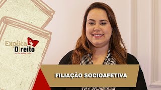 Explica Direito Filiação Socioafetiva  2019 [upl. by Colpin]