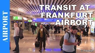 TRANSIT WALK AT FRANKFURT Airport FRA Terminal 1  Connection Flight Transfer Arriving amp Departing [upl. by Theodore]